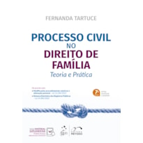 PROCESSO CIVIL NO DIREITO DE FAMÍLIA - TEORIA E PRÁTICA