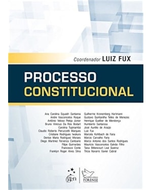PROCESSO CONSTITUCIONAL - 1ª EDIÇÃO 2013