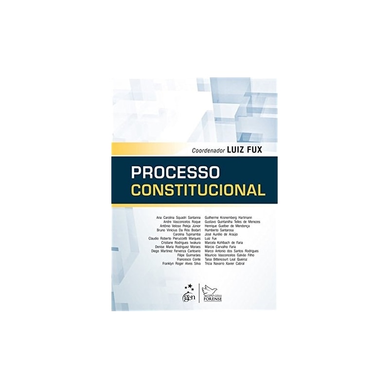 PROCESSO CONSTITUCIONAL - 1ª EDIÇÃO 2013