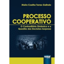 PROCESSO COOPERATIVO - O CONTRADITÓRIO DINÂMICO E A QUESTÃO DAS DECISÕES-SURPRESA