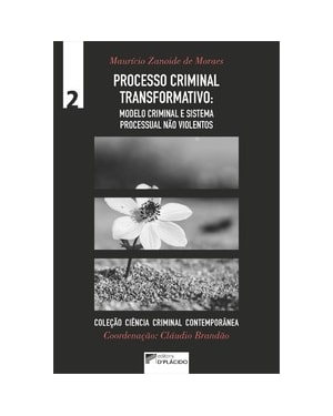 Processo criminal transformativo: modelo criminal e sistema processual não violentos