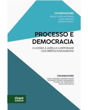 PROCESSO E DEMOCRACIA: O ACESSO À JUSTIÇA E A EFETIVIDADE DOS DIREITOS FUNDAMENTAIS