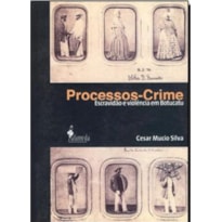 Processos-crime: escravidão e violência em Botucatu