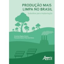 PRODUÇÃO MAIS LIMPA NO BRASIL: SUBSÍDIOS PARA IMPLANTAÇÃO