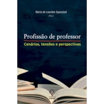 PROFISSÃO DE PROFESSOR: CENÁRIOS, TENSÕES E PERSPECTIVAS