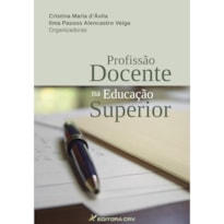 PROFISSÃO DOCENTE NA EDUCAÇÃO SUPERIOR