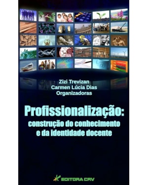 PROFISSIONALIZAÇÃO: CONSTRUÇÃO DO CONHECIMENTO E DA IDENTIDADE DOCENTE