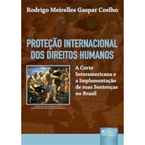 PROTEÇÃO INTERNACIONAL DOS DIREITOS HUMANOS - A CORTE INTERAMERICANA E A IMPLEMENTAÇÃO DE SUAS SENTENÇAS NO BRASIL