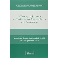 PROTECAO JURIDICA DA INFANCIA DA ADOLESCENCIA E DA JUVENTUDE, A - 1ª