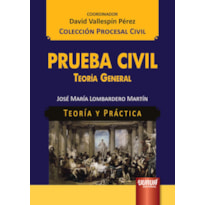 PRUEBA CIVIL - TEORÍA GENERAL - TEORÍA Y PRÁCTICA - COLECCIÓN PROCESAL CIVIL - COORDINADOR: DAVID VALLESPÍN PÉREZ