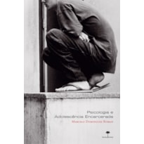 PSICOLOGIA E ADOLESCÊNCIA ENCARCERADA - EMBATES DE UMA ATUAÇÃO EM MEIO À BARBÁRIE