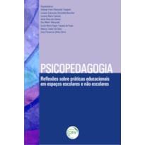PSICOPEDAGOGIA: REFLEXÕES SOBRE PRÁTICAS EDUCACIONAIS EM ESPAÇOS ESCOLARES E NÃO ESCOLARES