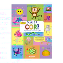 QUAL É A COR? - VAMOS APRENDER AS CORES EM INGLÊS?