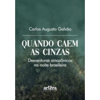 QUANDO CAEM AS CINZAS: DESVENTURAS AMAZÔNICAS NA NOITE BRASILEIRA