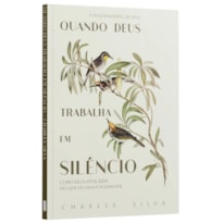 QUANDO DEUS TRABALHA EM SILÊNCIO - COMO DEUS ATUA ALÉM DO QUE OS OLHOS PODEM VER - CHARLES SILVA