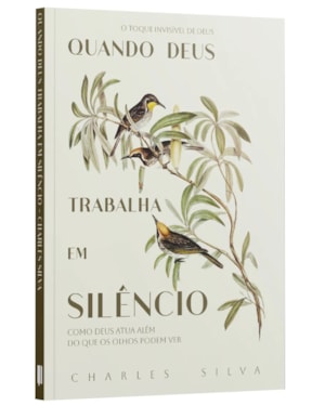 QUANDO DEUS TRABALHA EM SILÊNCIO - COMO DEUS ATUA ALÉM DO QUE OS OLHOS PODEM VER - CHARLES SILVA