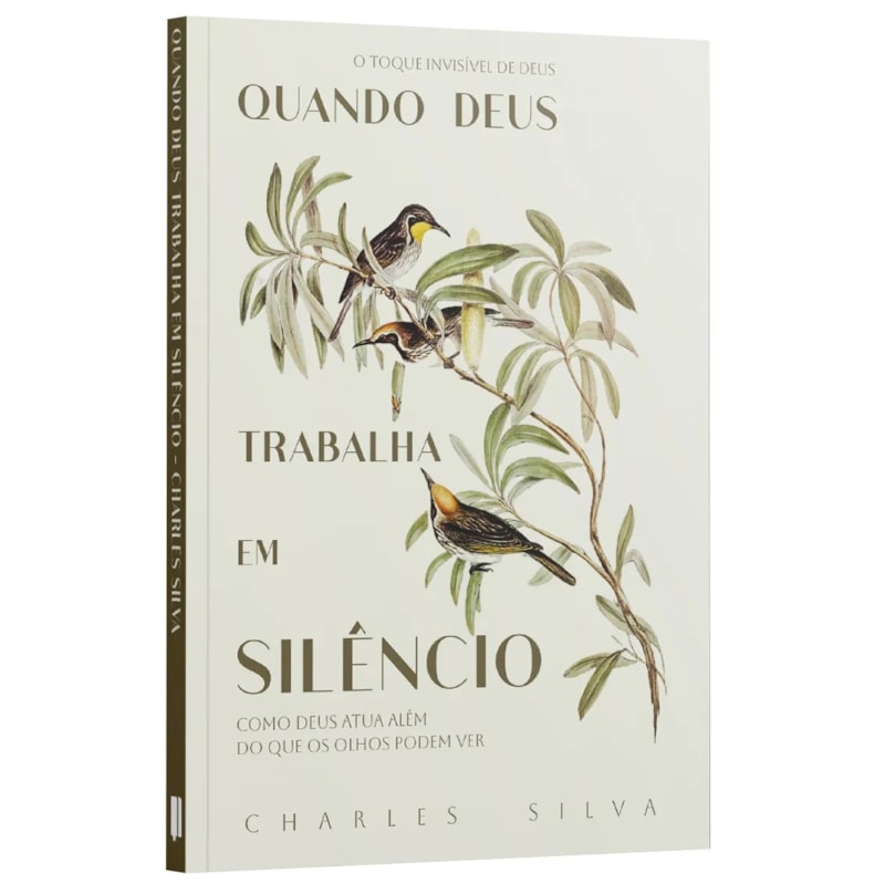 QUANDO DEUS TRABALHA EM SILÊNCIO - COMO DEUS ATUA ALÉM DO QUE OS OLHOS PODEM VER - CHARLES SILVA