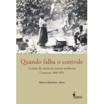Quando falha o controle: crimes de escravos contra senhores - Campinas, 1840/1870
