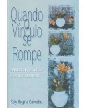 QUANDO O VINCULO SE ROMPE - SEPARACOES DIVORCIO E NOVO CASAMENTO - 1ª