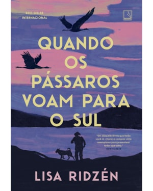 QUANDO OS PÁSSAROS VOAM PARA O SUL
