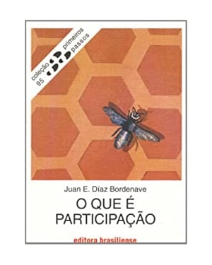 QUE E PARTICIPACAO, O - PRIMEIROS PASSOS - 1