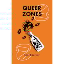 QUEER ZONES 2: SEXOPOLÍTICAS