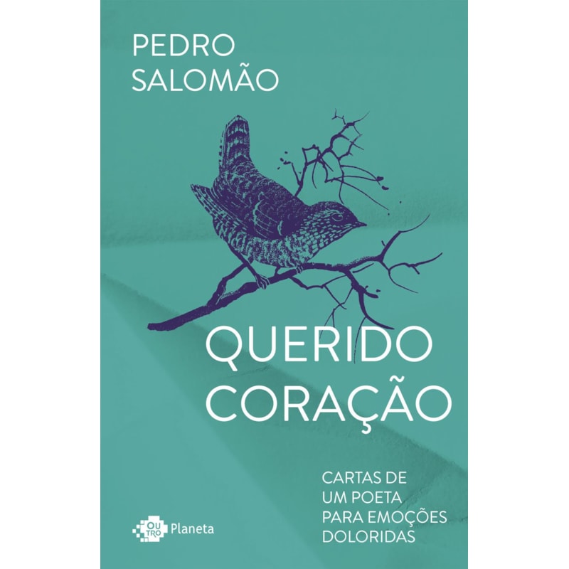 QUERIDO CORAÇÃO: CARTAS DE UM POETA PARA EMOÇÕES DOLORIDAS
