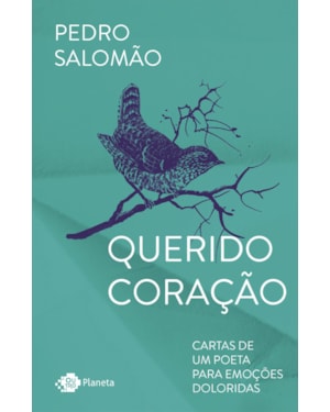 QUERIDO CORAÇÃO: CARTAS DE UM POETA PARA EMOÇÕES DOLORIDAS