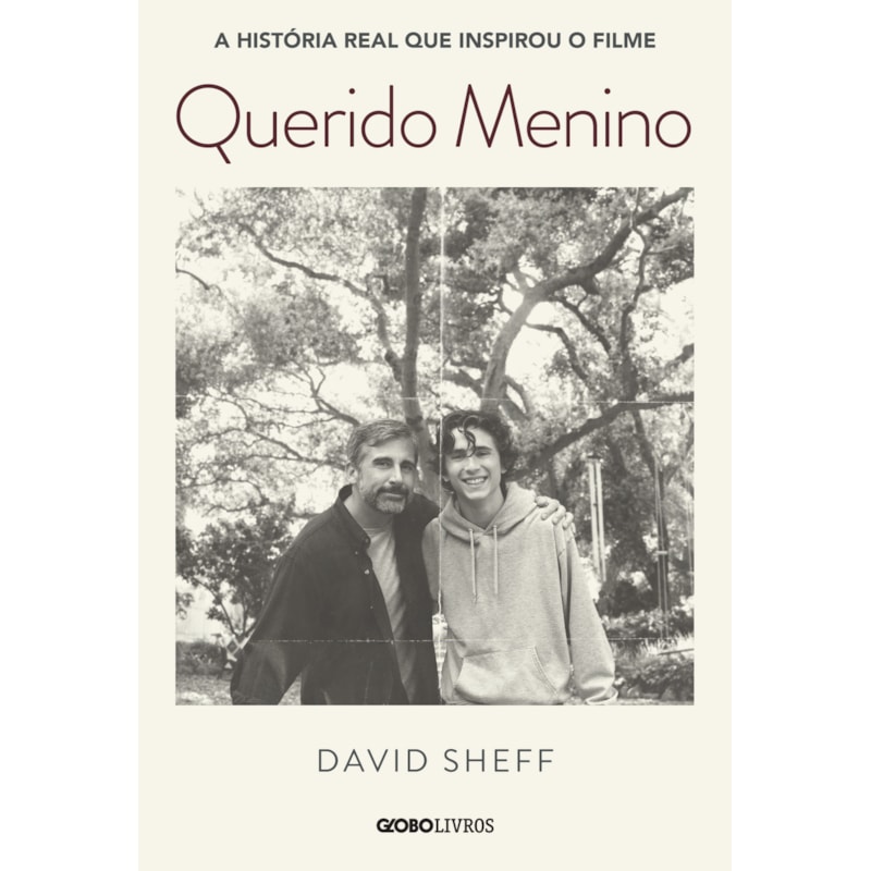 QUERIDO MENINO: A JORNADA DE UM PAI CONTRA A DEPENDÊNCIA QUÍMICA DE SEU FILHO (NOVA EDIÇÃO)