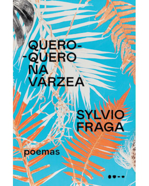 Quero-quero na várzea