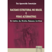 RACISMO ESTRUTURAL NO BRASIL E PENAS ALTERNATIVAS - OS LIMITES DOS DIREITOS HUMANOS ACRÍTICOS