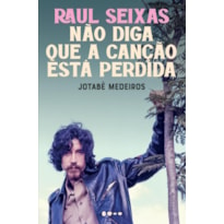 Raul Seixas: não diga que a canção está perdida