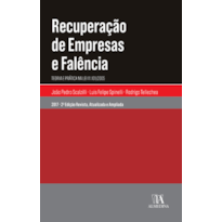 Recuperação de empresas e falência: teoria e prática na lei 11.101/2005