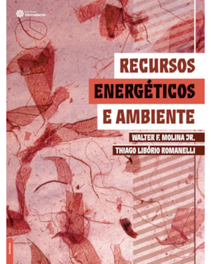 RECURSOS ENERGÉTICOS E AMBIENTE