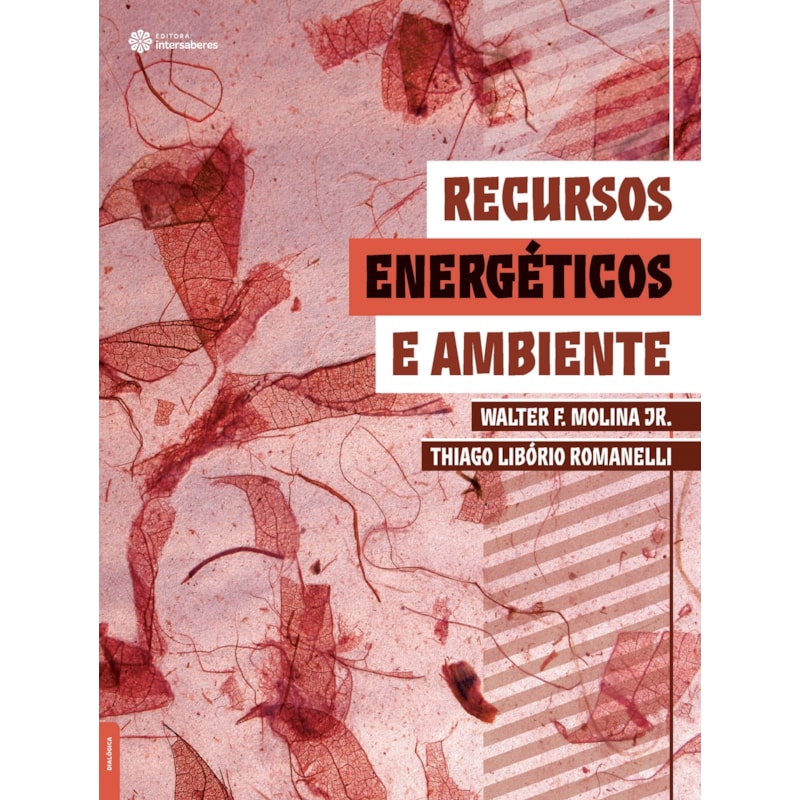 RECURSOS ENERGÉTICOS E AMBIENTE