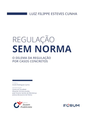Regulação sem norma: o dilema da regulação por casos concretos