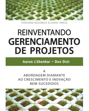 Reinventando gerenciamento de projetos: a abordagem diamante ao crescimento e inovação bem-sucedidos