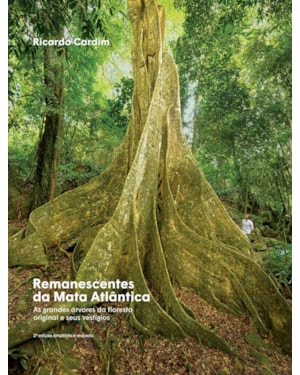REMANESCENTES DA MATA ATLÂNTICA: AS GRANDES ÁRVORES DA FLORESTA ORIGINAL E SEUS VESTÍGIOS
