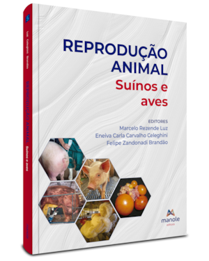 Reprodução animal: suínos e aves