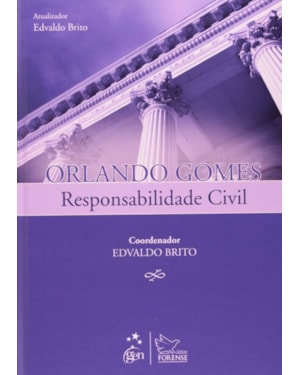 RESPONSABILIDADE CIVIL - 1ª EDIÇÃO 2011