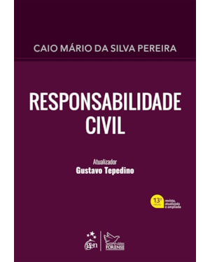 RESPONSABILIDADE CIVIL - 13ª EDIÇÃO 2022