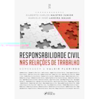 RESPONSABILIDADE CIVIL NAS RELAÇÕES DE TRABALHO - 1ª ED - 2024