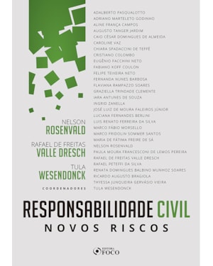 RESPONSABILIDADE CIVIL NOVOS RISCOS