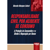 RESPONSABILIDADE CIVIL POR ACIDENTE DE CONSUMO - A PROTEÇÃO DO CONSUMIDOR E O DIREITO À REPARAÇÃO POR DANOS