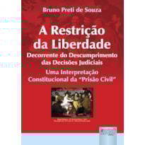 RESTRIÇÃO DA LIBERDADE DECORRENTE DO DESCUMPRIMENTO DAS DECISÕES JUDICIAIS, A - UMA INTERPRETAÇÃO CONSTITUCIONAL DA PRISÃO CIVIL