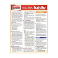 RESUAMAO CONCURSOS DIREITO DO TRABALHO