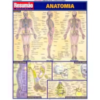 RESUMAO - ANATOMIA