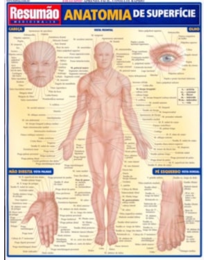 RESUMAO - ANATOMIA DE SUPERFICIE