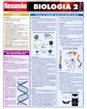 RESUMAO - BIOLOGIA 2