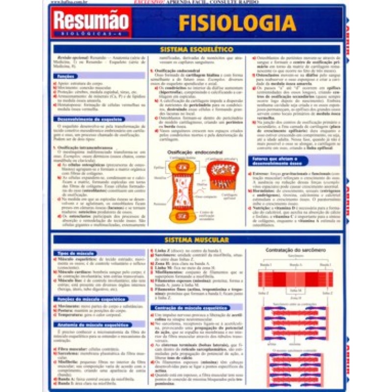 RESUMAO - FISIOLOGIA RESUMAO - FISIOLOGIA